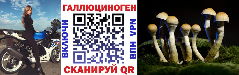 Галлюциногенные грибы мицелий  Купить закладки  Кириши 